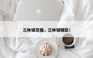 三林镇范围，三林镇辖区！