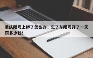 重庆限号上桥了怎么办，忘了车限号开了一天罚多少钱！