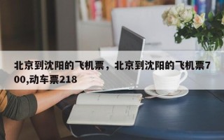 北京到沈阳的飞机票，北京到沈阳的飞机票700,动车票218