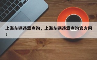 上海车辆违章查询，上海车辆违章查询官方网！